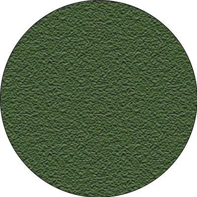 Plexipave Medium Green