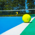 Community wellness through sport courts fitness