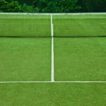 tennis court surfaces such as grass are used in the international tennis federation